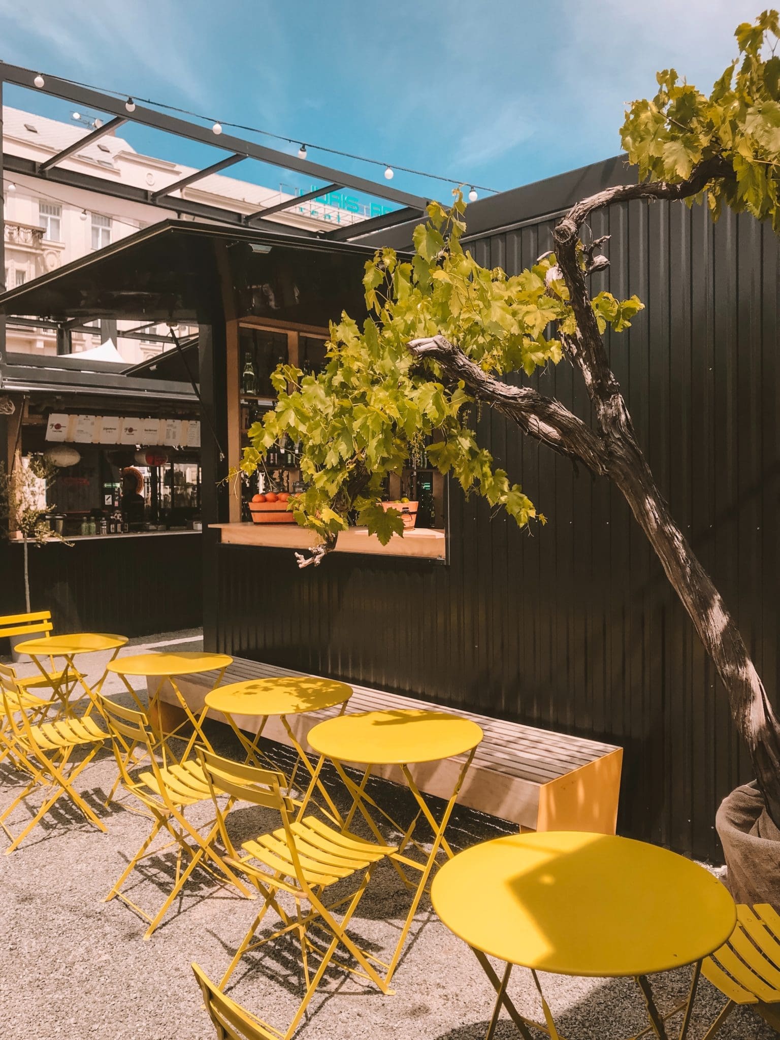 South Etobicoke Patios to Visit in the Summer Adrian + Andrea Real